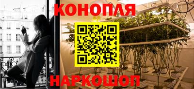 a pvp Лесосибирск