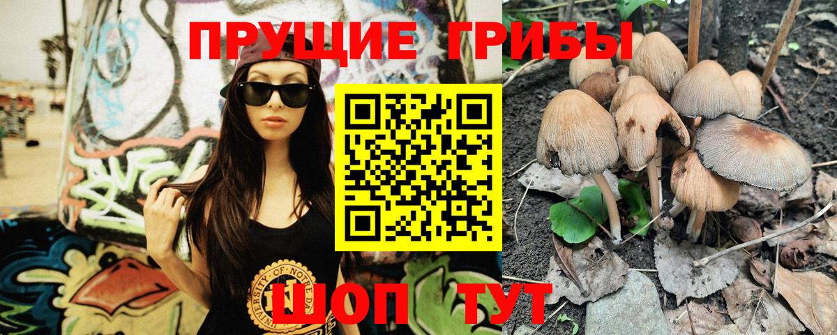 Псилоцибиновые грибы Cubensis Ярцево