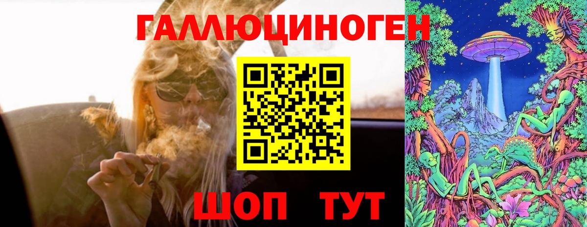 Псилоцибиновые грибы Psilocybe  Вход с VPN  Ярцево 